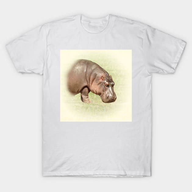 Hippopotamus T-Shirt by Guardi